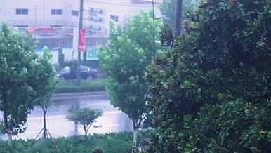 4K实拍台风暴雨视频的预览图